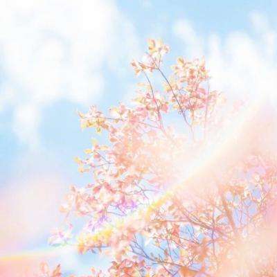 leyu·乐鱼(中国)体育官方网站截图