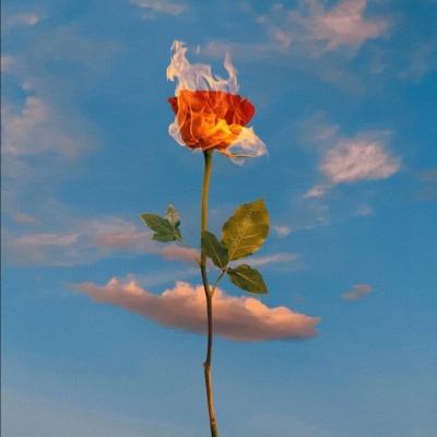 江南官方网站下载app下载