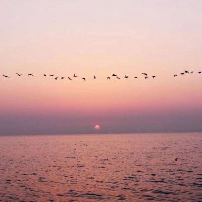 大发国际app下载